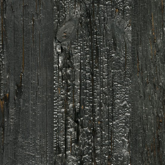 ACCENT Kilimandjaro