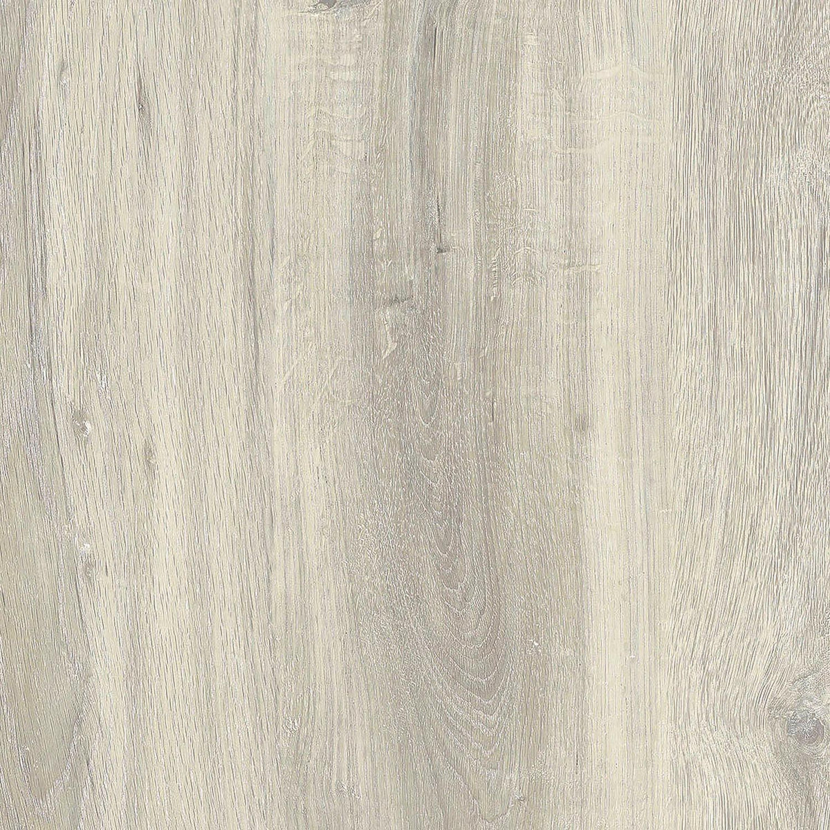 Dalles murales Gx Wall+ White Oak