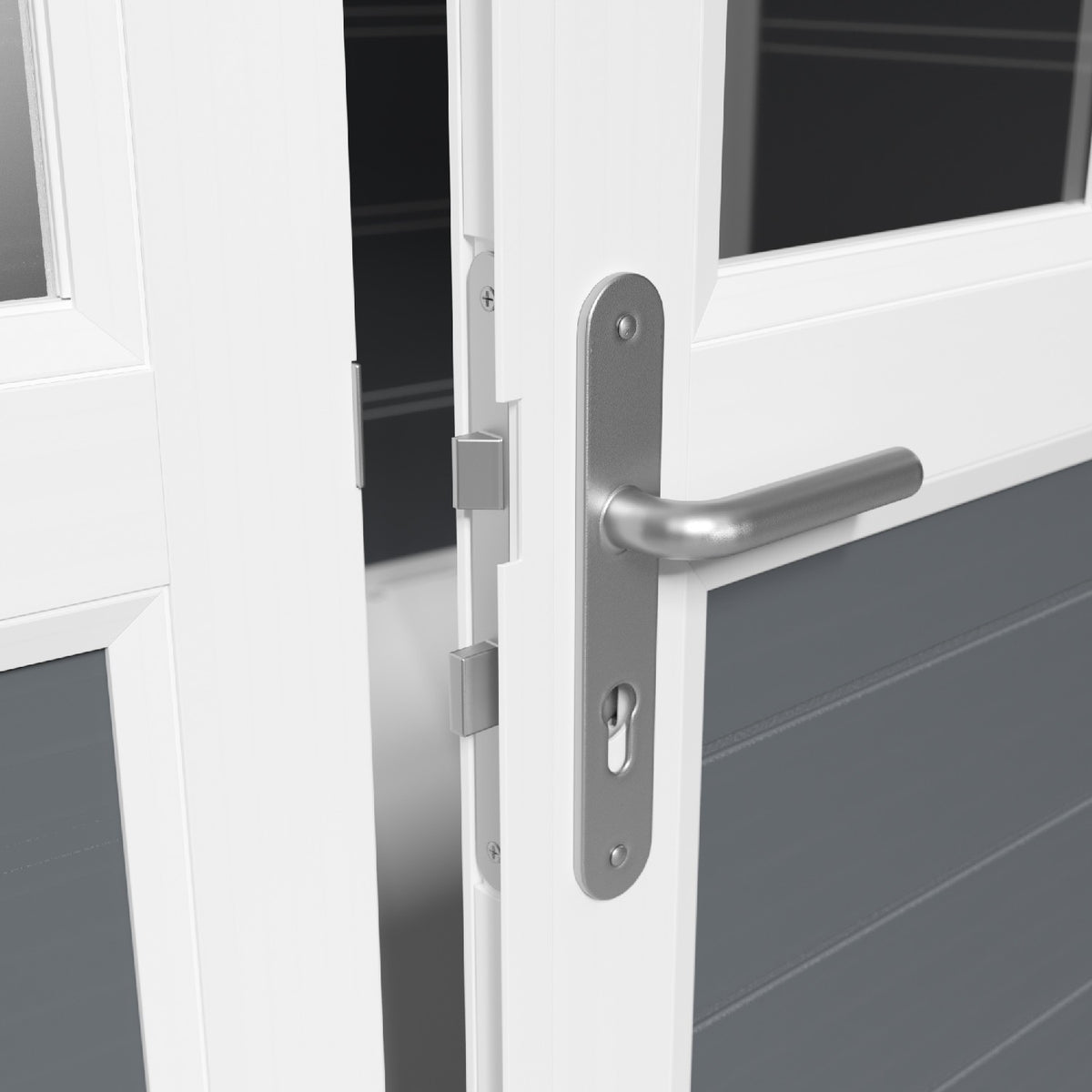 Abri de jardin 4,9 m² PMMA gris foncé Déco