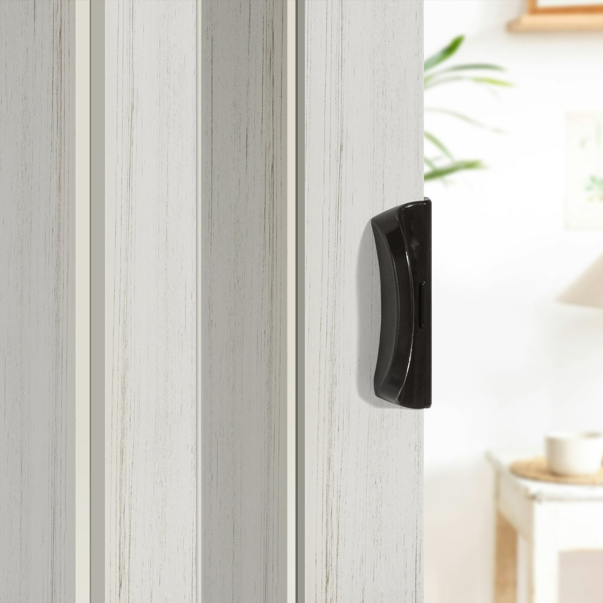 #couleur_Bois blanchi